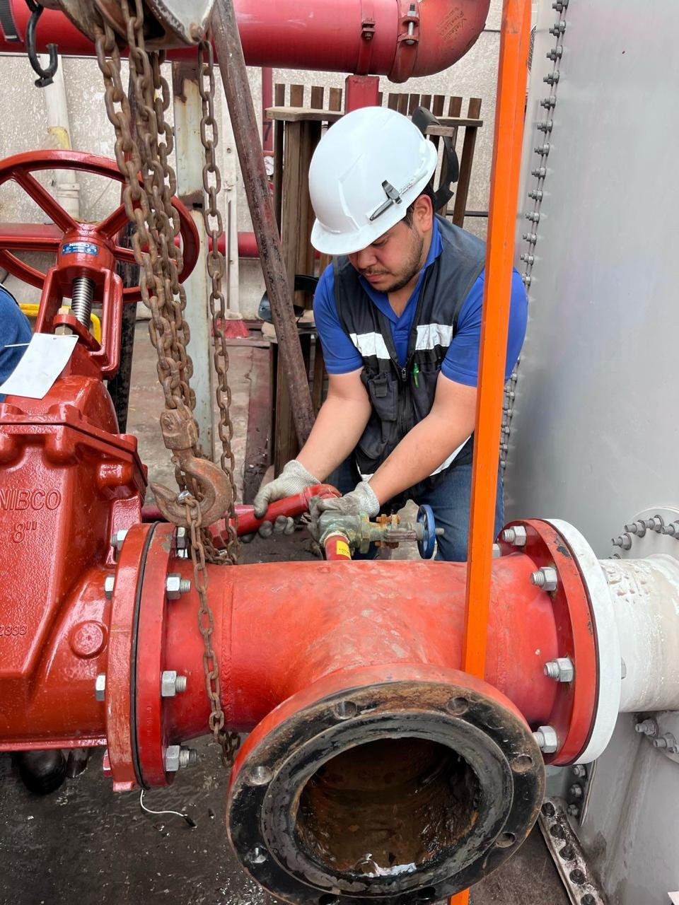 Crafting Captivating Headlines: Your awesome post title goes here WhatsApp Image 2025 08 15 At 11.49.09 AM 10