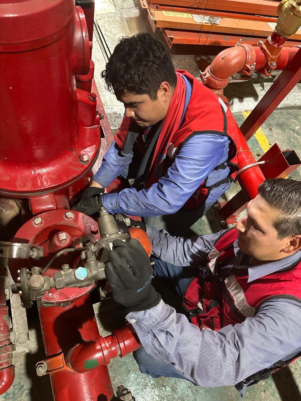 WhatsApp Image 2025 08 15 At 11.49.09 AM 8