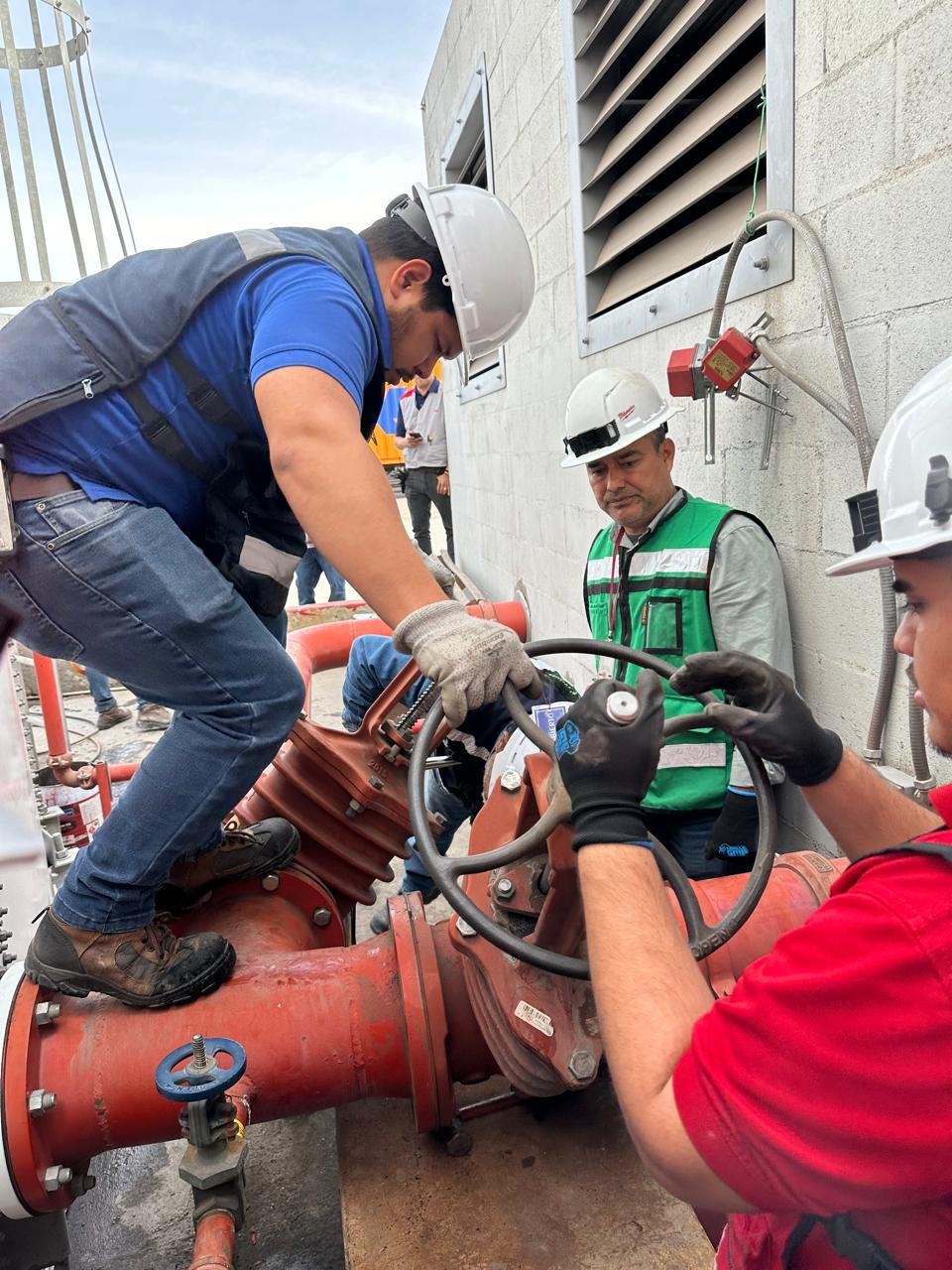 WhatsApp Image 2025 08 15 At 11.49.09 AM 9